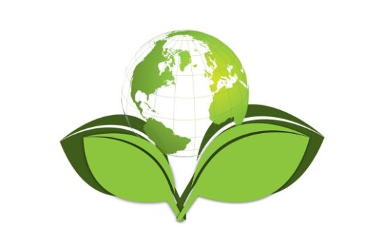 Estudo Ambiental Simplificado (EAS)