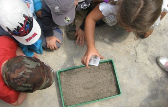 Programa de Educação Ambiental
