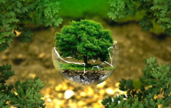 Programas Ambientais (Gestão Ambiental e Monitoramento)
