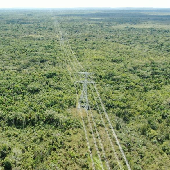 EXECUÇÃO EM PARCERIA COM ARCADIS LOGOS S/A - LEVANTAMENTO DE FAUNA - LINHA DE TRANSMISSÃO - (MRN)